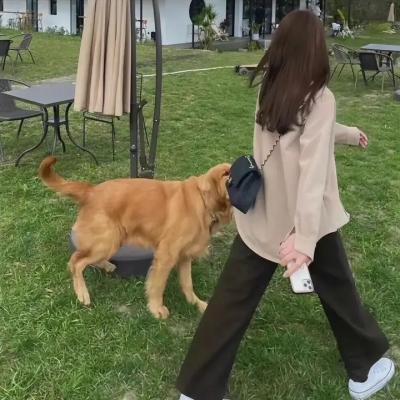 情杀局中局